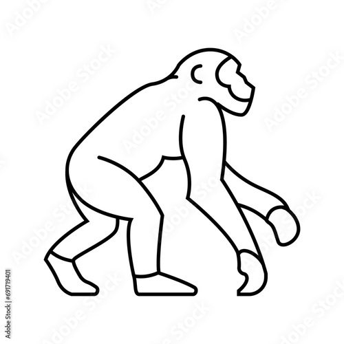 primate ancestors human evolution line icon vector. primate ancestors human evolution sign. isolated contour symbol black illustration