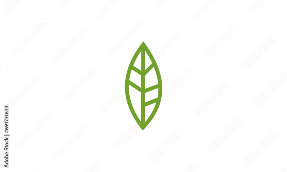 green leaf isolated on white green leaf isolated on white
