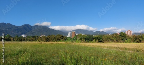 Verdant Meadow with Majestic Mountains  under The Blue Sky 