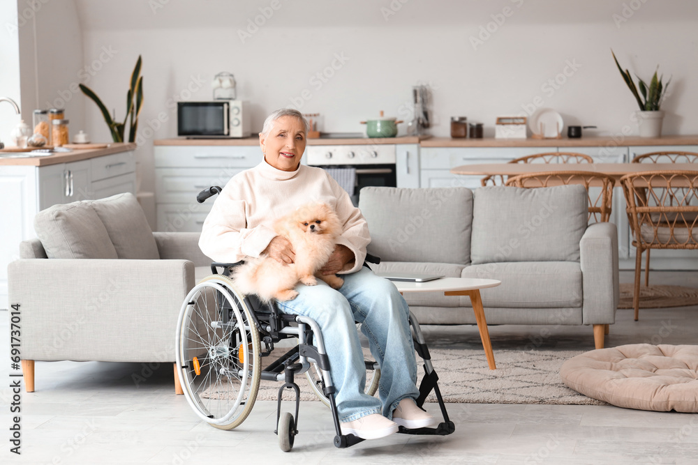 Senior woman in wheelchair with Pomeranian dog at home Senior woman in wheelchair with Pomeranian dog at home