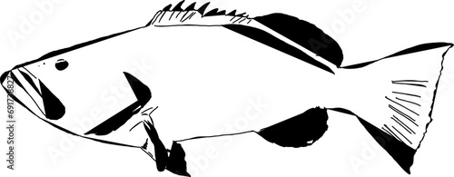 A Modern Outline Of A Grouper