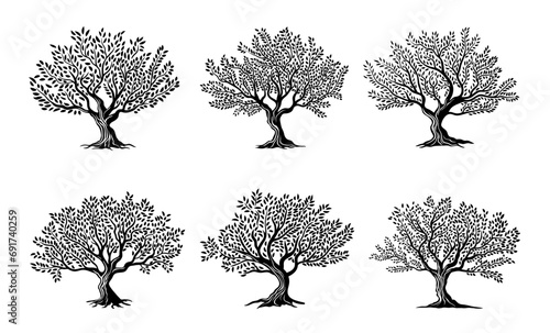 Olive trees isolated silhouette icons, olive oil vector labels for organic food product package. Olive tree with leaves emblems and silhouette signs of nature plant for bio extra virgin olive oil