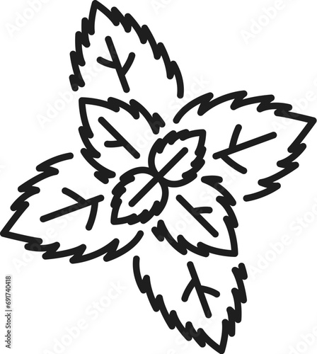Watermint or peppermint isolated outline icon. Vector spearmint herb with leaves. Melissa flavoring organic plant, hybrid mint, kitchen spice thin line