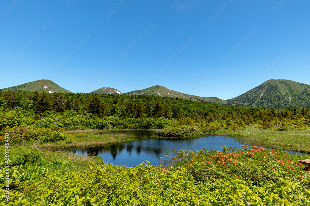 【青森県八甲田山中】新緑と満開のつつじが美しい睡蓮沼と八甲田山 【青森県八甲田山中】新緑と満開のつつじが美しい睡蓮沼と八甲田山