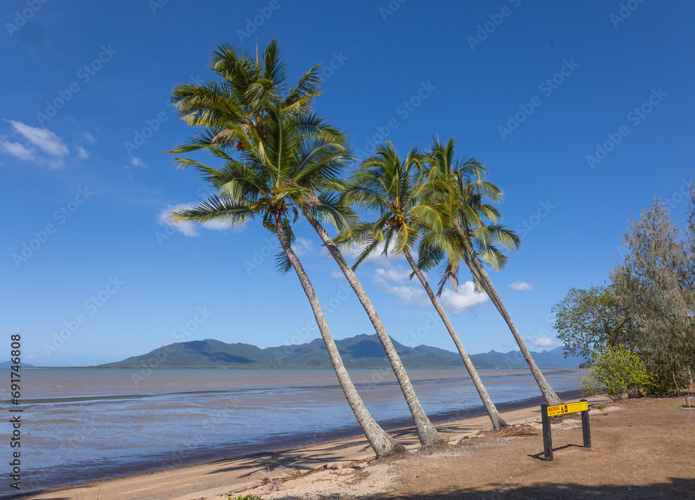 Coconut palm trees leaning over a tropical beach at Cardwell in tropical Queensland, Australia, with Hinchinbrook Island in the background. Coconut palm trees leaning over a tropical beach at Cardwell in tropical Queensland, Australia, with Hinchinbrook Island in the background.