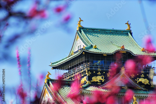 梅林と大阪城と青空 photo