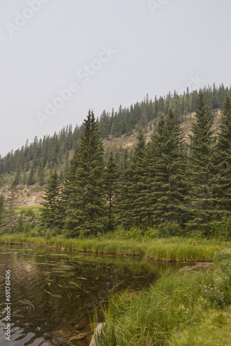 Beaverdam Campground on a Smoky Summer Day