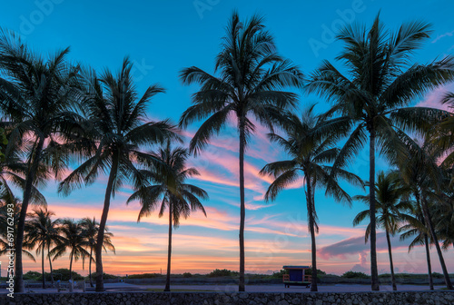 Silhouettes of coconut palms on a sunrise sky background on a tropical beach at dawn. Miami Beach, Florida.