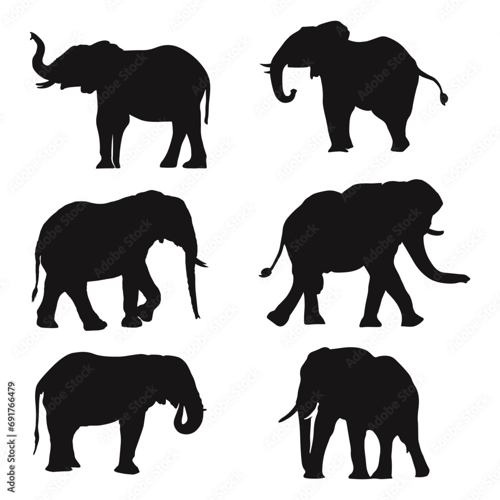 Elephant  silhouette Set