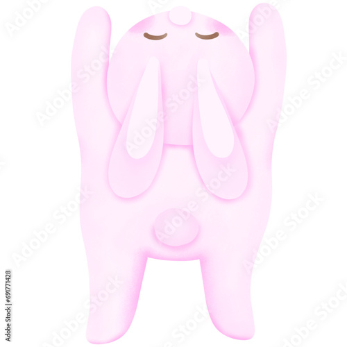 Rabbit-2