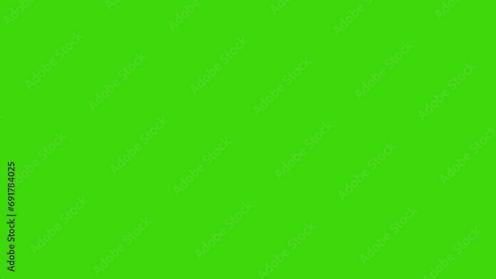 animated airplane, airplane animation with green screen animated airplane, airplane animation with green screen