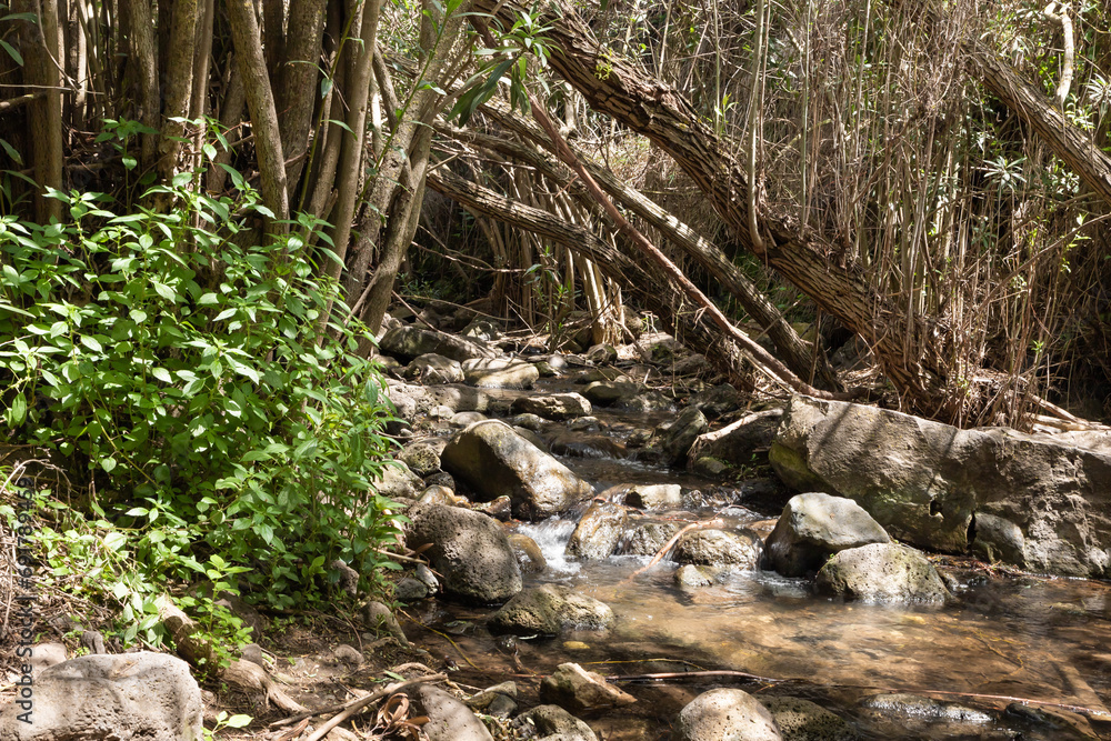 The El Al  stream flows in the El Al National Nature Reserve located in the northern Galilee in the North of Israel