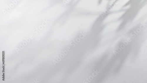 plant leaves sunlight natural shadow overlay on white wall background