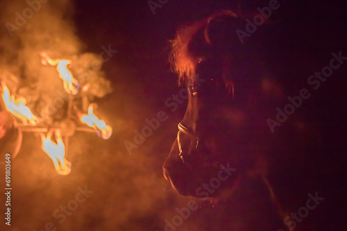 Pferd und Feuer photo