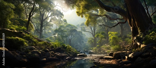 Peaceful Bushland - Softly Speaking Nature's Beautiful Breath