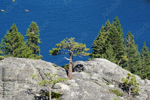 View of pine trees on a cliff, with blue waters of a lake and boats in the background, on a sunny day