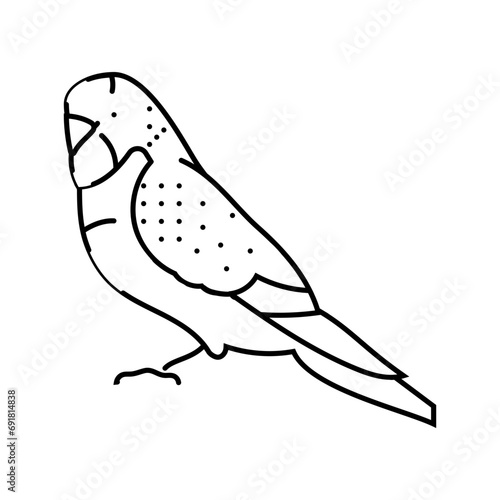 budgerigar parakeet bird parrot line icon vector. budgerigar parakeet bird parrot sign. isolated contour symbol black illustration