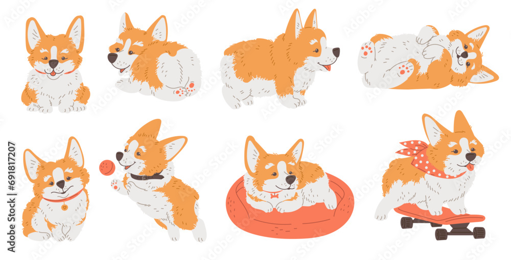 Obraz premium Set of cute funny corgi dogs flat style, vector illustration