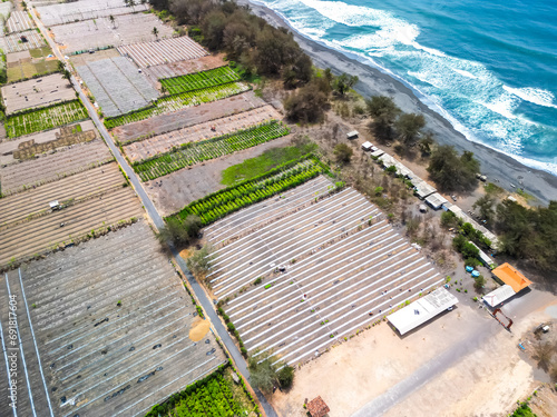 Aerial view of Agricultural land such as rice fields, vegetable gardens and coconut plantations in coastal areas in Kulon Progo, Yogyakarta. Farming on beach sand land. High angle during the day. photo