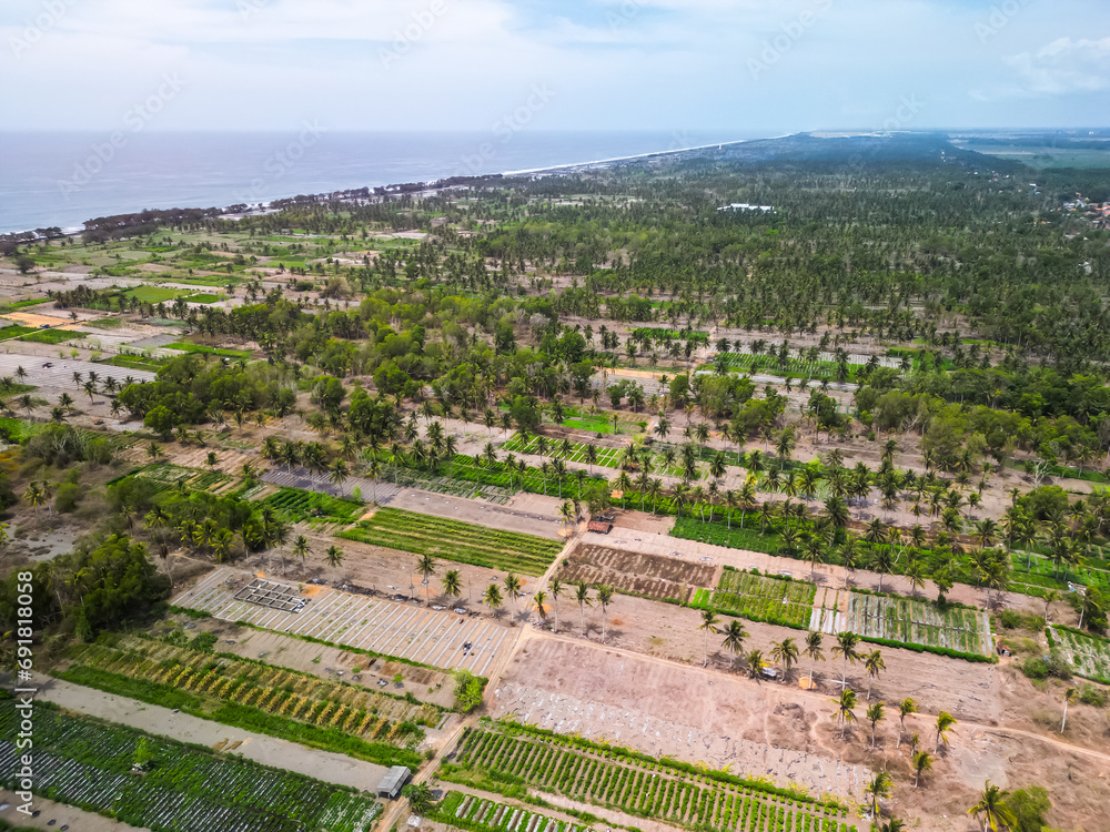 Aerial view of Agricultural land such as rice fields, vegetable gardens and coconut plantations in coastal areas in Kulon Progo, Yogyakarta. Farming on beach sand land. High angle during the day.