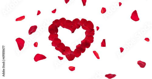 heart shape rose petals design on a transparent background