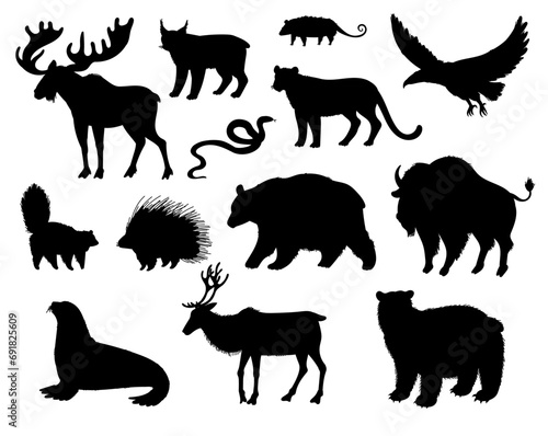 North America animals vector black silhouette set, Moose, Bison, bear reindeer Skunk, Cougar wild isolated animals photo