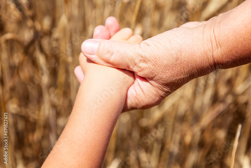 A child's hand in an elderly hand. Wheat field on a sunny day. Close-up. © Анна Демидова