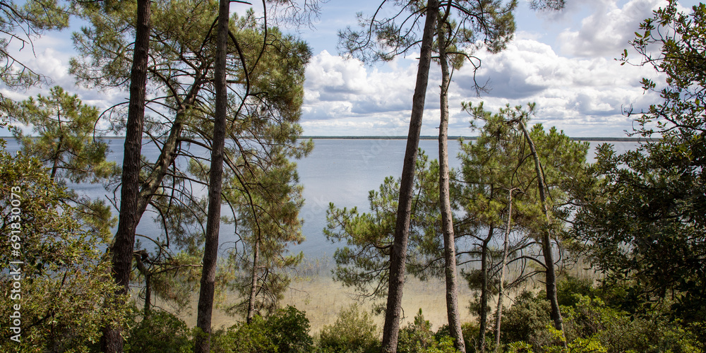 french lake in dune sand beach Maubuisson Carcans pines trees forest in gironde France