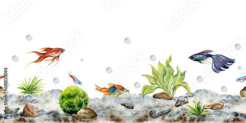 Hand drawn watercolor aquarium fish, algae and sealife. Marine exotic underwater illustration. Seamless border isolated on white background. Design for shops, brochure, print, card, wall art, textile. photo