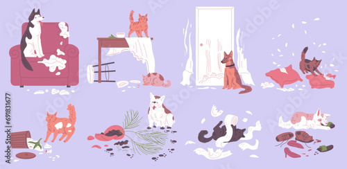 Home disorder made by cats and dogs set.