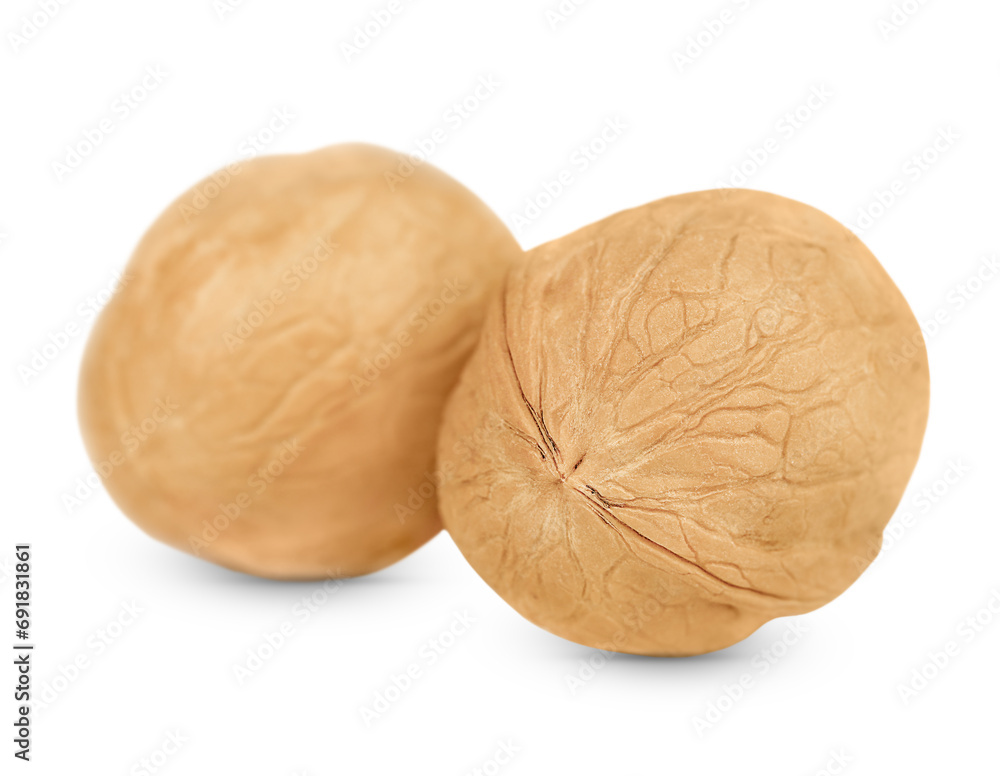 two walnuts in a shell are highlighted on a white background two walnuts in a shell are highlighted on a white background
