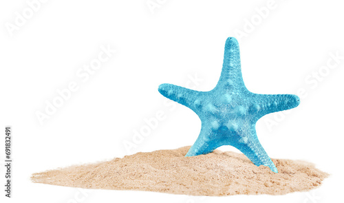  blue starfish stands in the sand. highlighted on a white background
