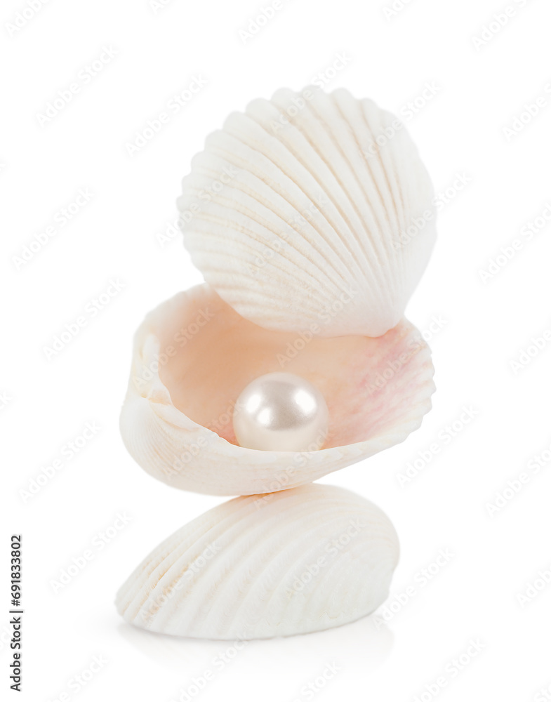 pearl in ocean shells. highlighted on a white background with shadow and reflection pearl in ocean shells. highlighted on a white background with shadow and reflection