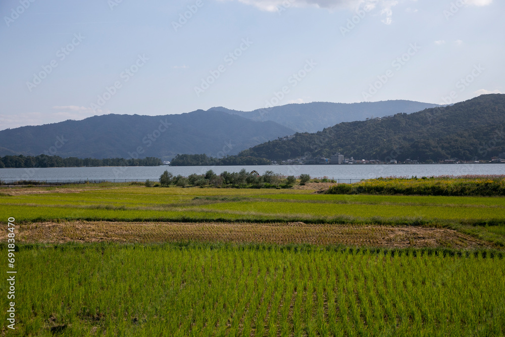 Rice paddies in Miyazu in north of Kyoto in Japan.