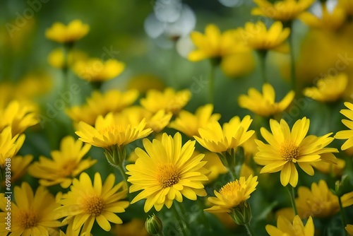 Adorable little background of yellow flowers