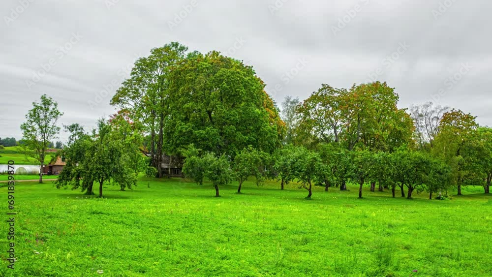 The seasons slowly transform a green landscape into a snow covered one. 