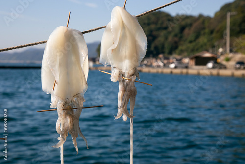 Calamari Fish drying hanging in the streets of the the beautiful fishing village of Ine in north of Kyoto.