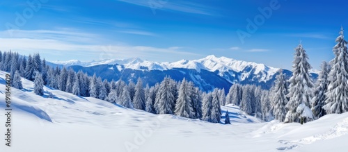 Winter mountain landscape in Carinthia, Austria with snow, pine forest, and clear sky.