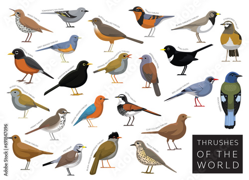 Bird Thrushes of the World Set Cartoon Vector Character photo