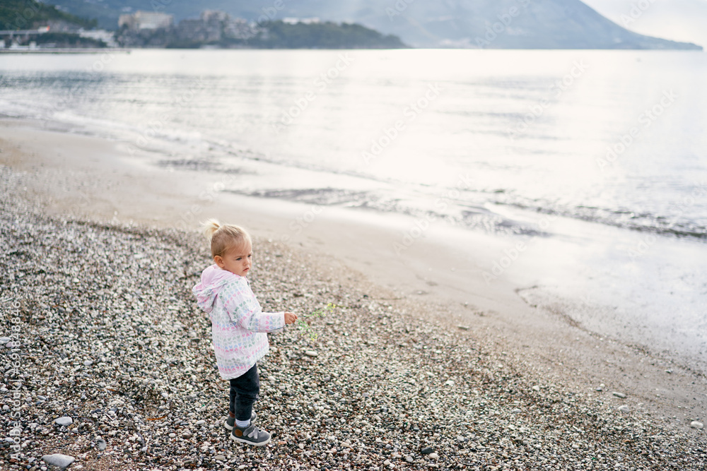 Little girl with a flower in her hand stands on a pebble beach and looks away