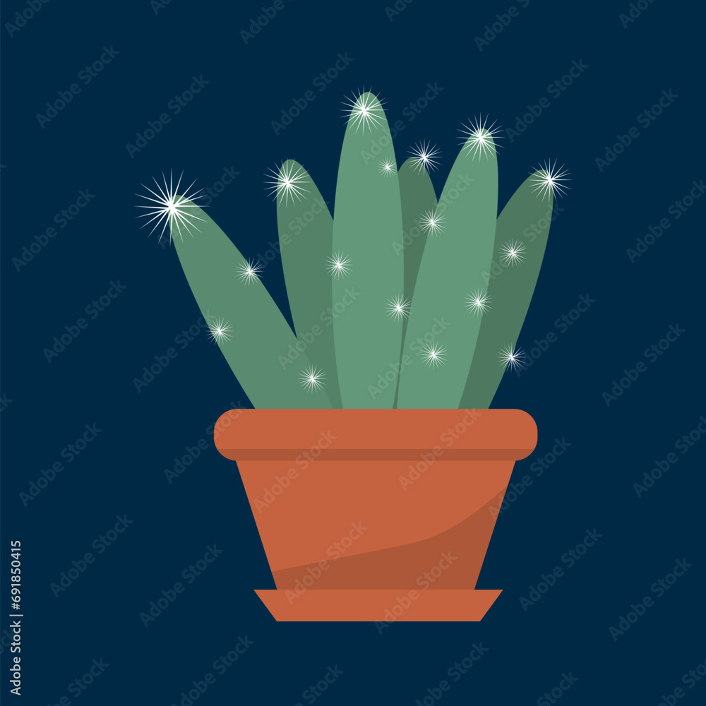 Houseplant cactus in a pot, natural decor for home and interior Houseplant cactus in a pot, natural decor for home and interior