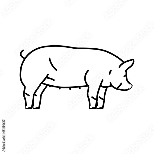 berkshire pig breed line icon vector. berkshire pig breed sign. isolated contour symbol black illustration