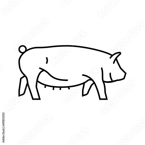 yorkshire pig breed line icon vector. yorkshire pig breed sign. isolated contour symbol black illustration
