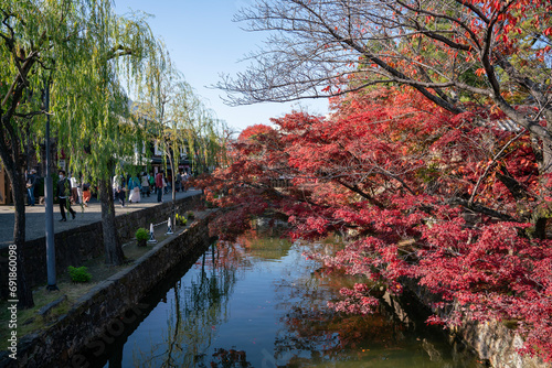 倉敷で見つけた赤紅葉が川にかかる