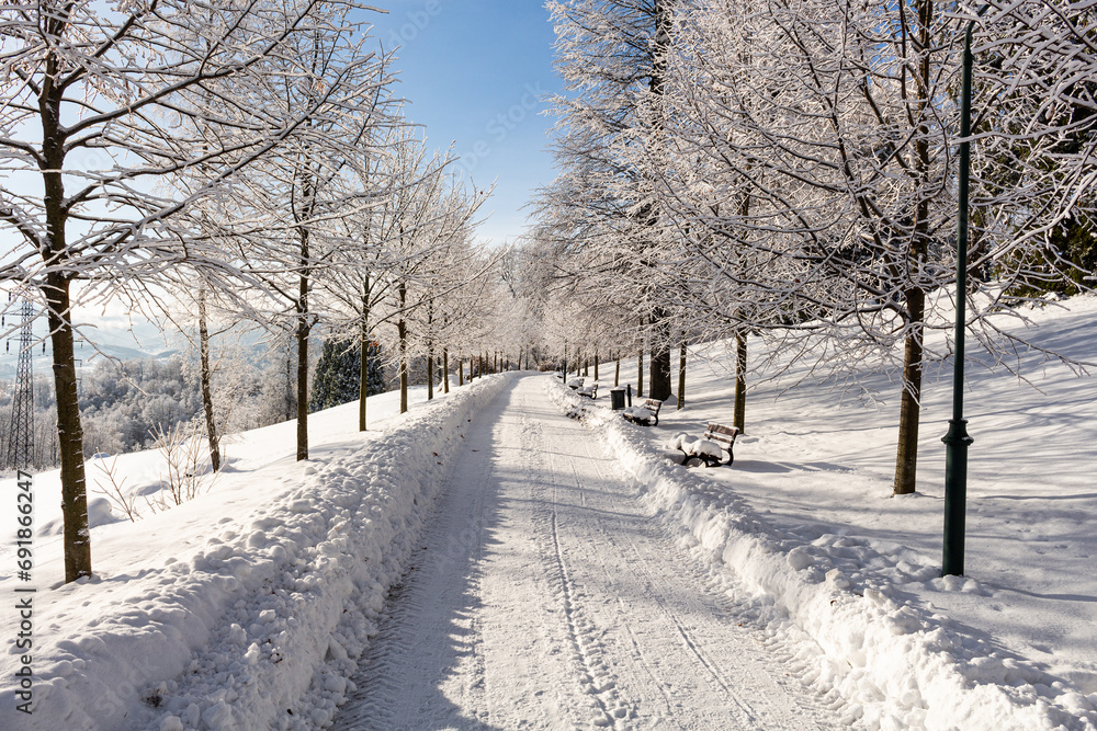Obraz premium Winter landscape. Winter road and trees covered with snow