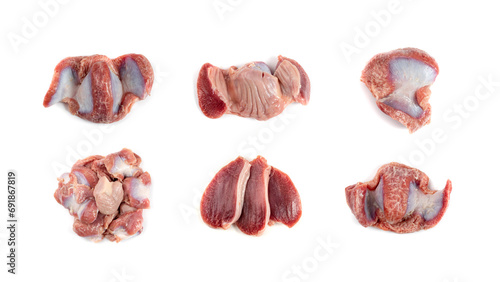 Poultry Offal Isolated, Raw Chicken Stomach, Poultry Giblets, Fresh Turkey Stomach, Chicken Gizzard photo
