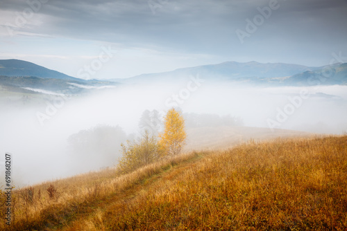 A magical view of the mountainous area in a foggy morning.