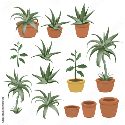 Aloe vera in a pot isolated on a white background. Set of hand-drawn houseplants. Indoor plants in ceramic brown terracotta pots. Home or office interior decoration. 3D Vector cartoon illustration