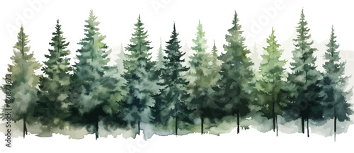 Christmas trees Vector watercolor illustration,Forest, fir trees, pine trees, woods watercolor illustration,festival set