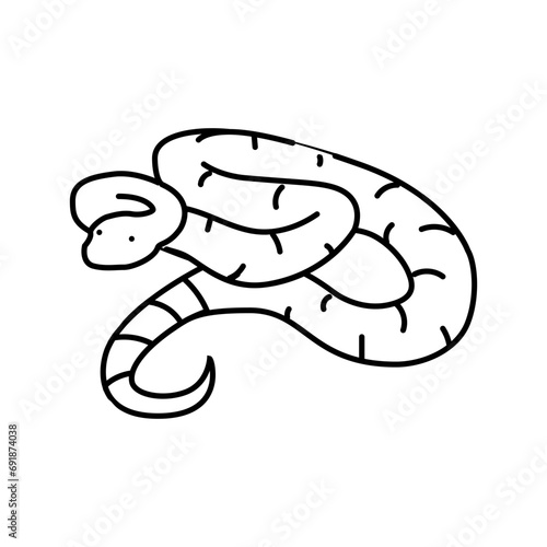 boa constrictor animal snake line icon vector. boa constrictor animal snake sign. isolated contour symbol black illustration